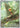 Chespin 87/086 - ME04 Chaos Rising Holofoil