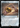 Confession Dial (Surge Foil) - Doctor Who Foil