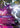 Kennen - Storm of Shuriken - Vendetta Foil