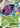 Genesect EX (Team Plasma) 11- ME 30th Celebration Classic Collection Holofoil