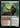 Questing Druid // Seek the Beast (WOE-234)  - Wilds of Eldraine