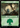 Forest (1164) (Surge Foil) - Doctor Who Foil