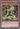 Earth Armor Ninja (Starfoil) (Starfoil Rare) - Star Pack 2013 Unlimited