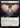 Celestial Armor - Foundations: (Extended Art)