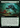Feral Encounter (Extended Art)  (WOE-356) - Wilds of Eldraine: (Extended Art)