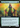 Elvish Visionary (Extended Art) - Secret Lair Drop: (Extended Art) Foil