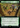Galadhrim Ambush (Extended Art)  (LTC-121) - Tales of Middle-earth Commander: (Extended Art)
