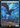 Storm Crow - Secret Lair Drop Foil