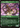 Coiling Stalker (Showcase) - Kamigawa: Neon Dynasty: (Showcase)