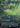 Breeding Pool (Borderless) - Unfinity (Borderless)