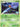 Beedrill G 053/99 - Arceus