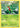 Grovyle 7/116 - Plasma Freeze