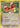 Ledyba (Delta Species) 53/101 - Dragon Frontiers