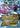 Palkia EX (Team Plasma) 66/101 - Plasma Blast Holofoil
