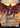 Shalai, Voice of Plenty - Secret Lair Drop (Borderless)