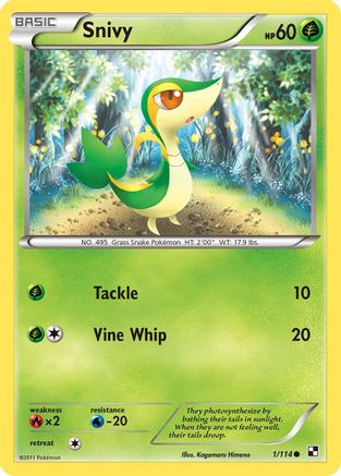 Snivy (1) 1/114 - Black and White