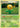 Sunflora 31/123 - HeartGold SoulSilver