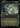 Atomize (Showcase) (Surge Foil) - Fallout: (Showcase) Foil