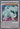 Shooting Star Dragon (Super Rare) - Legendary Collection 5D's 1st Edition