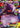 Gengar EX 34/119 - XY  Phantom Forces Holofoil