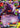 Gengar EX 34/119 - XY  Phantom Forces Holofoil