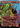 Okaun, Eye of Chaos - Secret Lair Drop (Borderless)