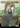 Gishath, Sun's Avatar (Borderless) - The Lost Caverns of Ixalan (Borderless)