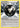 Shield Energy 143/160 - XY  Primal Clash