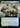 Biomass Mutation (Extended Art) - Fallout: (Extended Art)