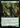 The Foretold Soldier (Extended Art) - Doctor Who: (Extended Art)