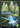 Forest - Secret Lair Drop