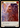 Figment of Erudition // Suraya, Archangel of Erudition (Marvel) - Dusk till Dawn Cold Foil