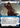 Evie Frye (Showcase) - Assassin's Creed: (Showcase) (Borderless)