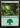 Forest - Foundations