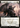 Combat Calligrapher (Extended Art) - Commander 2021: (Extended Art)