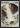 Day of Judgment (Foil) - Magic Player Rewards 2011