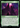 Search for Tomorrow (Surge Foil) - Doctor Who Foil