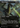 Black Dragon (Borderless) - Adventures in the Forgotten Realms (Borderless)