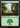 Forest (575) - Secret Lair Drop Foil