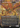 Zirda, the Dawnwaker (Halo Foil)  Foil (MUL-195) - Multiverse Legends: (Showcase) (Borderless)