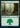 Forest (489) - Modern Horizons 2