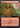 Mountain (1366) - Secret Lair Drop: (Extended Art)