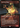 Soul-Scar Mage - Secret Lair Drop (Borderless)