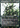 Cankerbloom (Showcase) (Step-and-Compleat Foil) - Phyrexia: All Will Be One: (Showcase) Foil