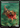 Gigantosaurus - Foundations: (Full Art, textless) Foil