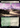 Scattered Groves (Extended Art) (Surge Foil) - Doctor Who: (Extended Art) Foil