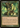 Wild Growth (Retro Frame) - Dominaria Remastered