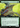 Gemhide Sliver (Extended Art) - Secret Lair Drop: (Extended Art) Foil