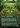 Eternal Witness (Borderless)  (2X2-368) - Double Masters 2022 (Borderless)