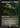 Creakwood Liege  Etched Foil (2X2-482) - Double Masters 2022